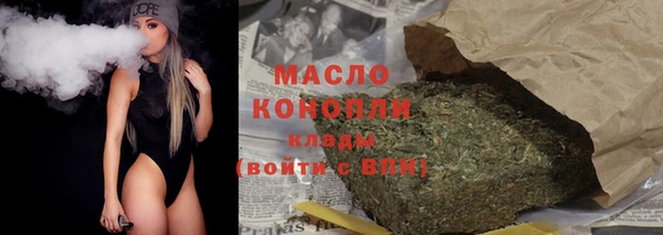 мдпв Михайлов