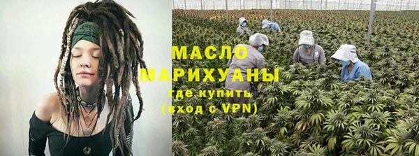 мдпв Михайлов