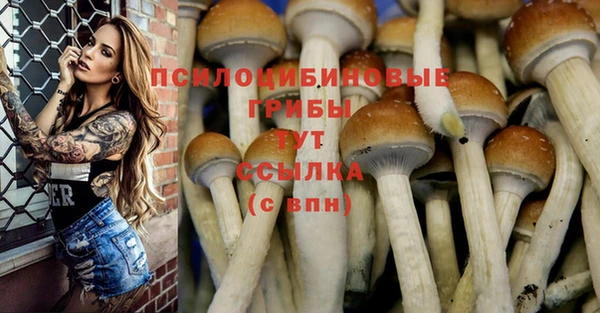 мдпв Михайлов