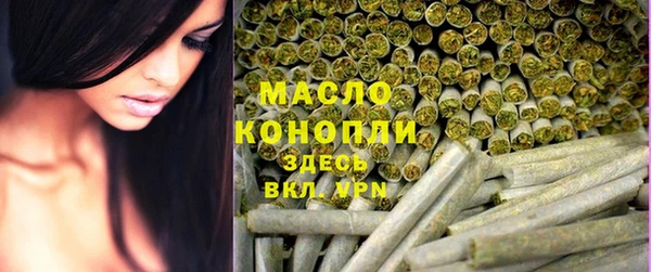 мдпв Михайлов