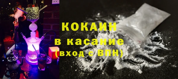 мдпв Михайлов