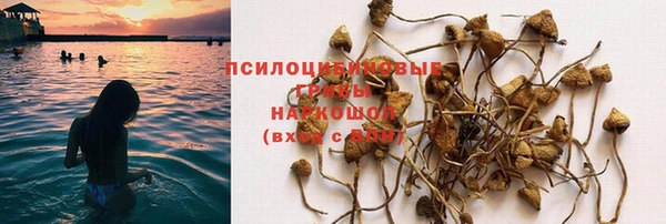 a pvp Михайловка