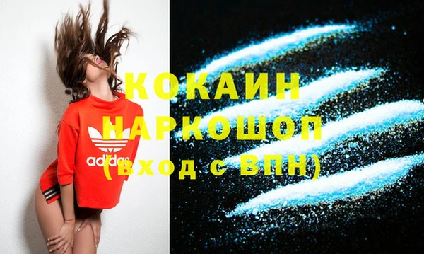 мдпв Михайлов