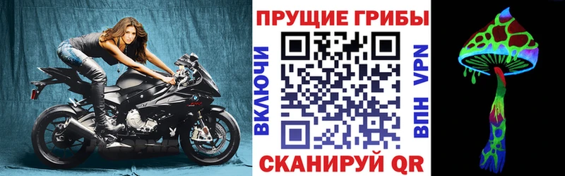 Купить закладки  Пугачёв  Галлюциногенные грибы Psilocybine cubensis 