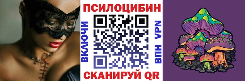 Галлюциногенные грибы Psilocybe Пугачёв