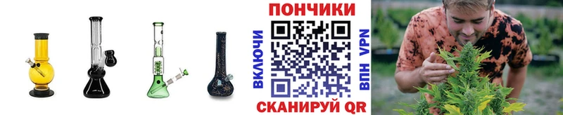 Купить где  Пугачёв  Бошки Шишки Bruce Banner 